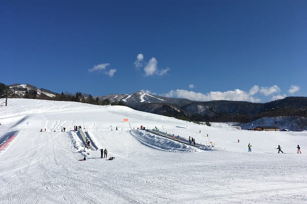 スキージャム勝山ビキッズパークの風景