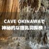 鍾乳洞CAVE OKINAWAのアイキャッチ画像